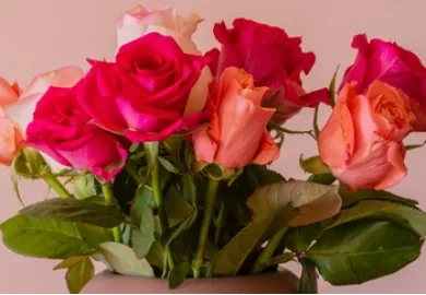 Why Flowers Are the Best Gift Option for Valentine’s Day